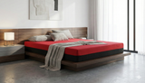 Dual Pain Relief Mattress ThevoRelief